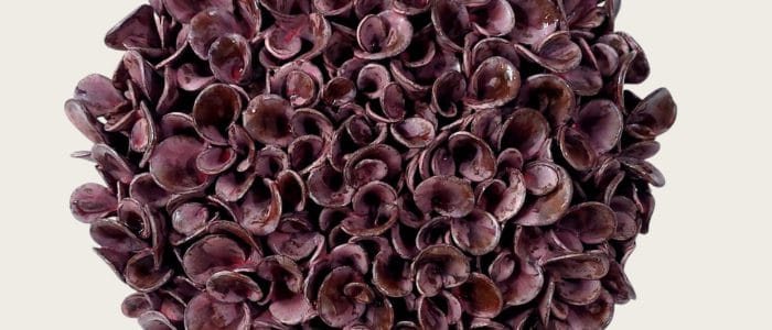 Mercan duvar panosu Mercan duvar panosu